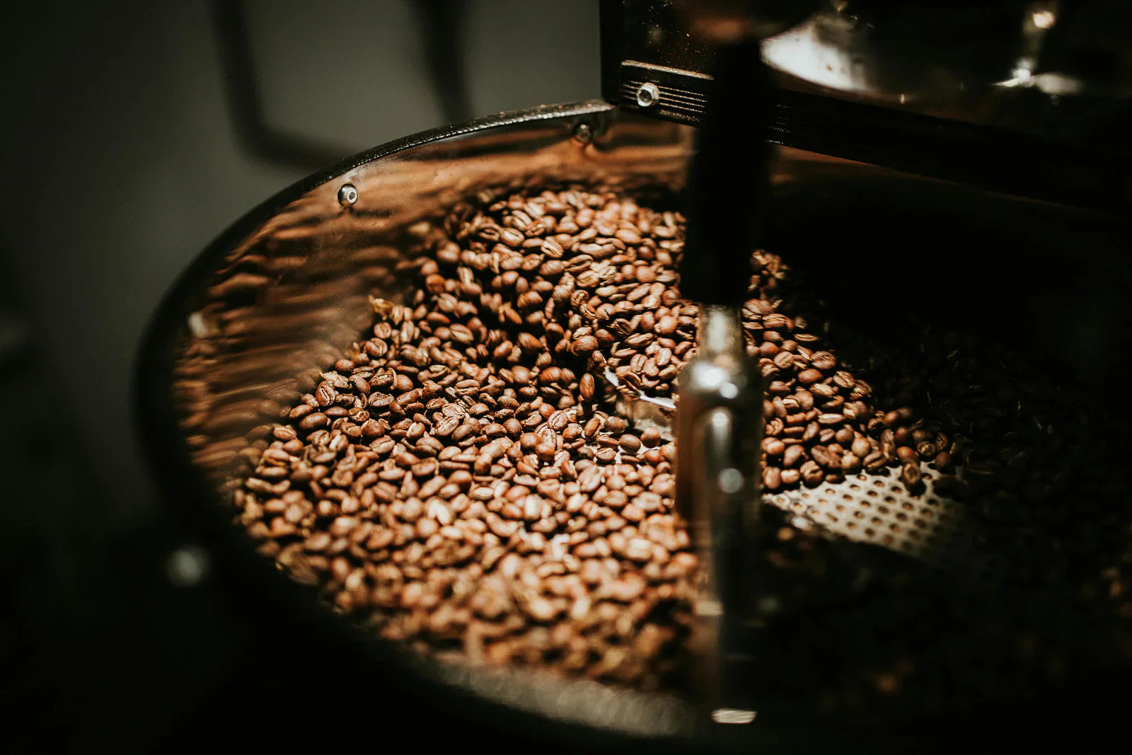 Brew Better Mornings: Why Great Days Start with Great Coffee Beans